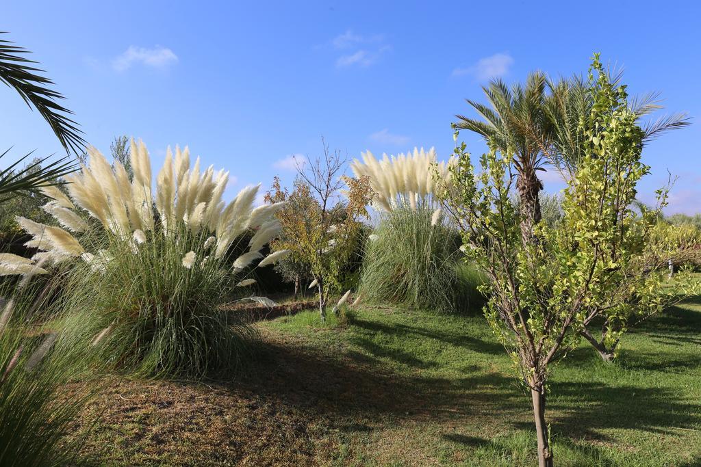 Riad Al Mendili Private Resort & Spa Had Abdallah Rhiat Exterior foto