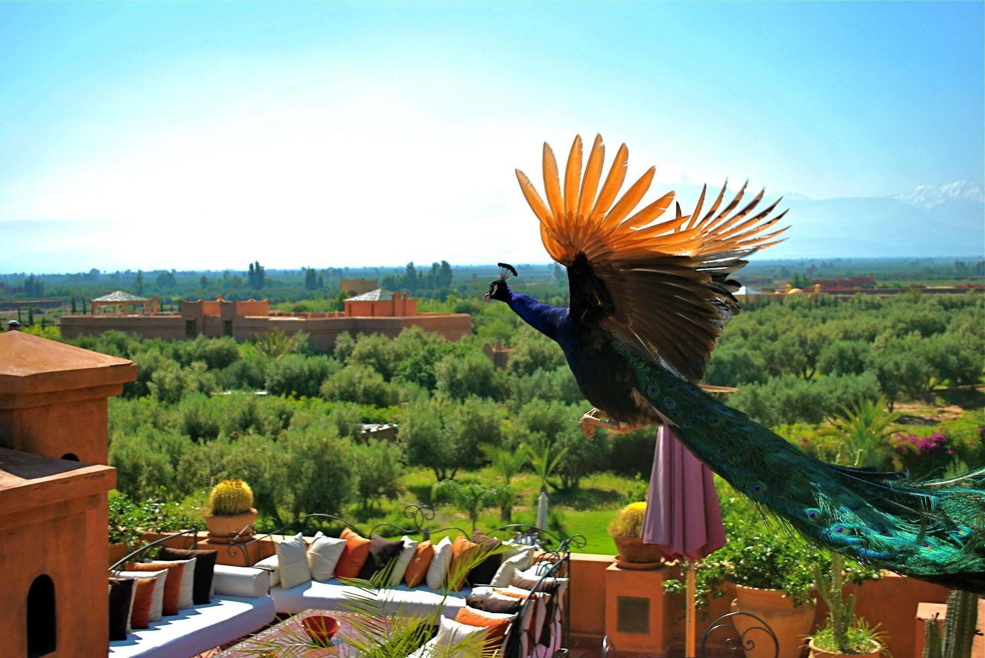 Riad Al Mendili Private Resort & Spa Had Abdallah Rhiat Exterior foto